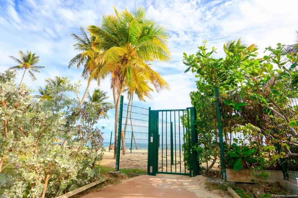 Studio Mer A Vue Le Gosier  Exterior photo